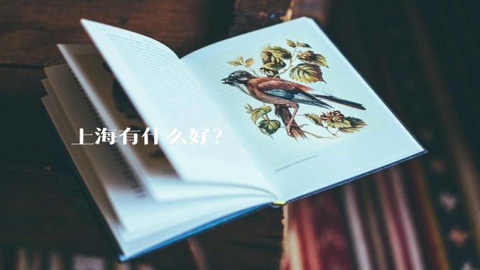 上海有什么好？